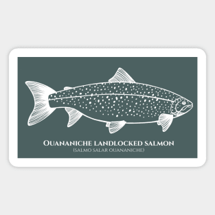 Landlocked Salmon with Common and Scientific Name - fish design Magnet